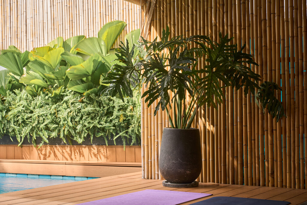 Balance Yoga Villa - Welcome Home Workshop9114 (1)@2x