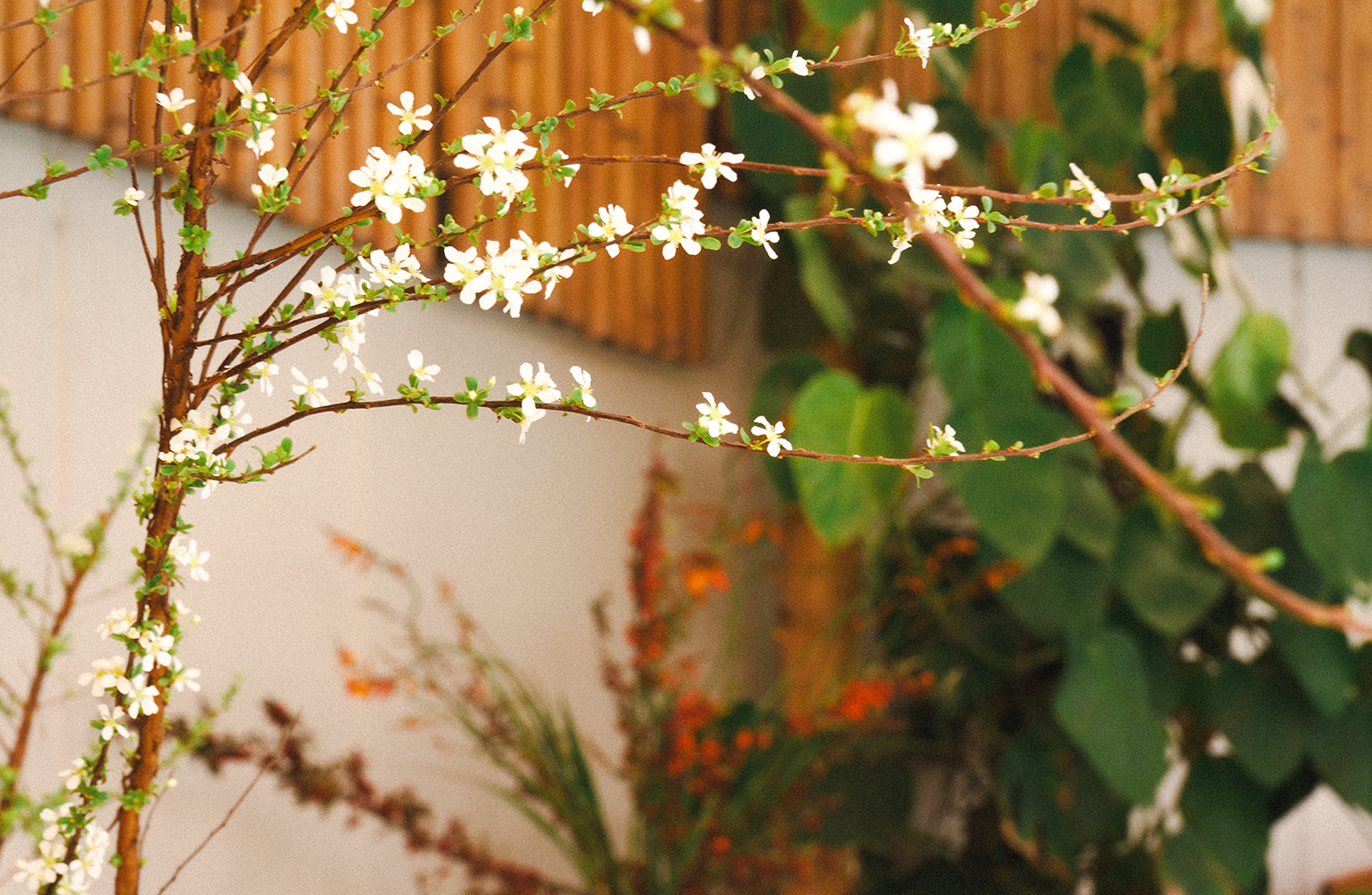 Balance-yoga-villa-Xuan-du-phuong-thao-dia-khi-hoi-tho-no-hoa-tren-canh-dong-tam-tri@2x