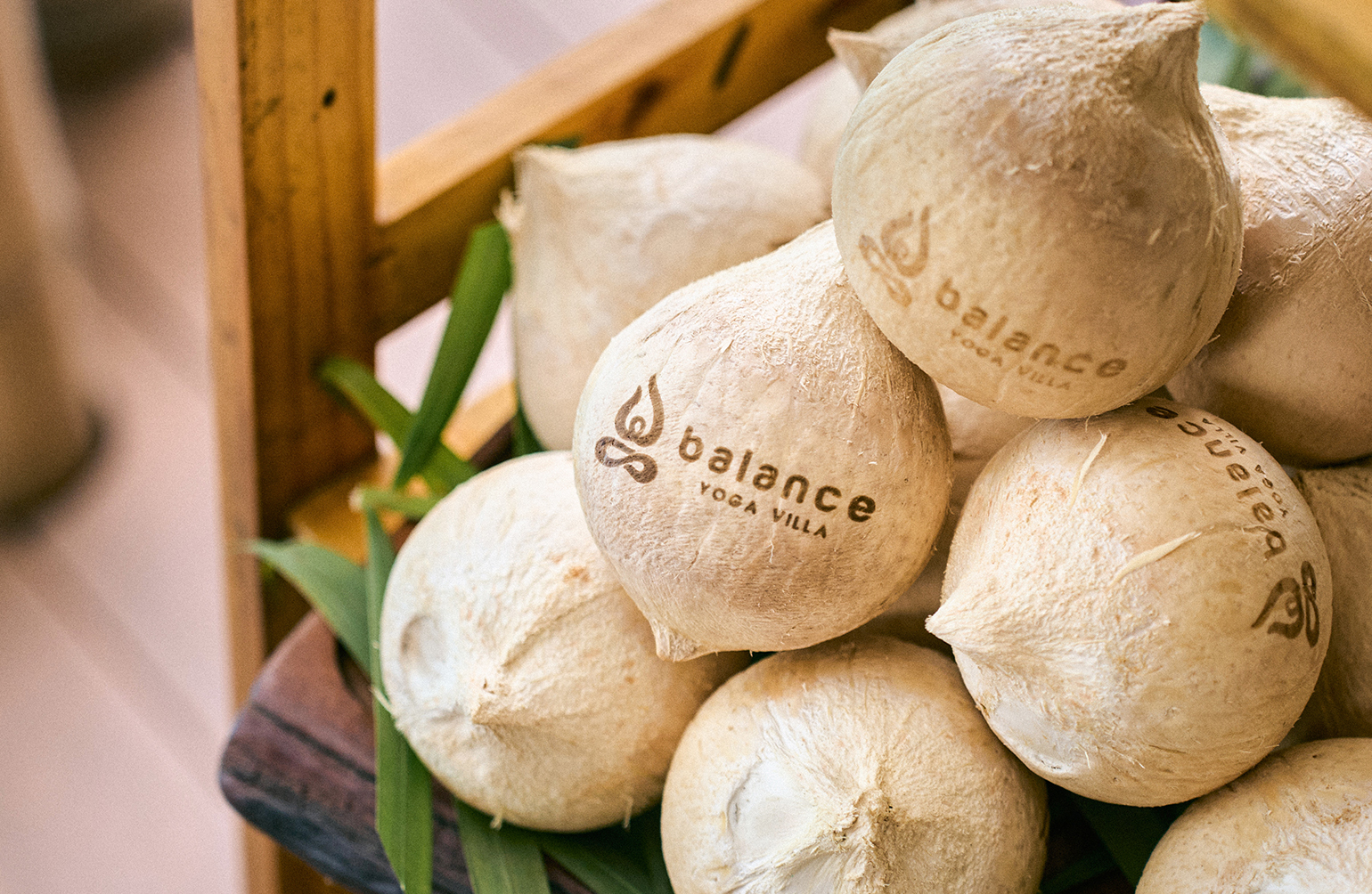 Balance-yoga-villa-thu-buong-bo-la-rung-ve-coi@2x@2x