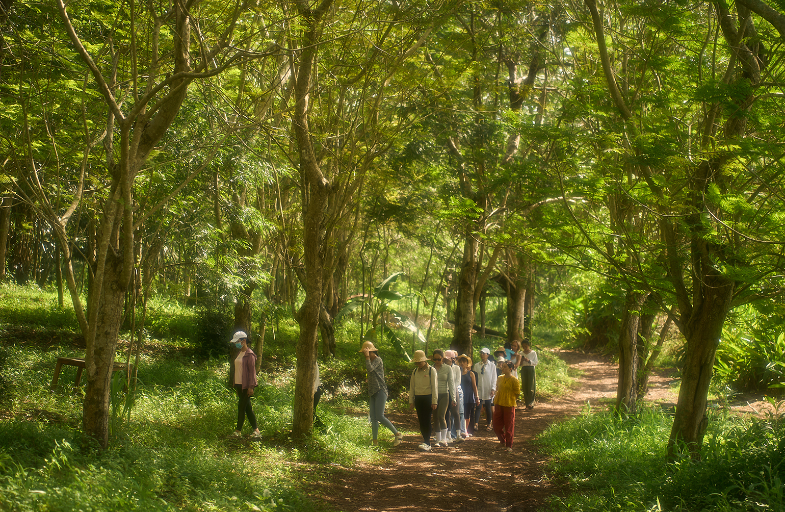 Balance-yoga-villa-yoga-reiki-cacao-ceremony-singing-bowl-retreat01770 (1)@2x