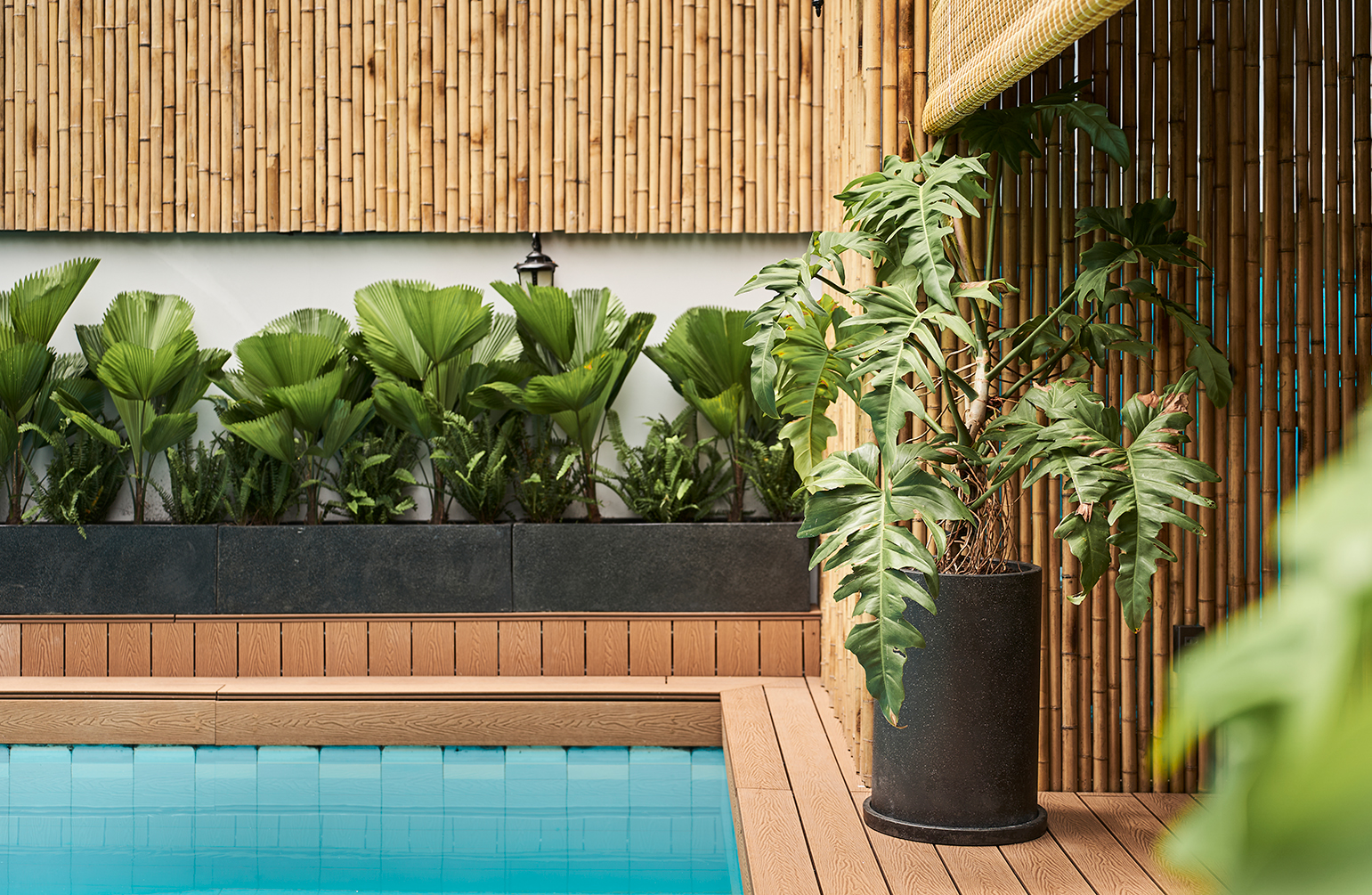 Balance-yoga-villa-xu-huong-wellness-va-hanh-trinh-tro-ve-voi-ban-the